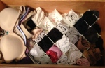 The organizer I use in my underwear drawer with my underwear in it.